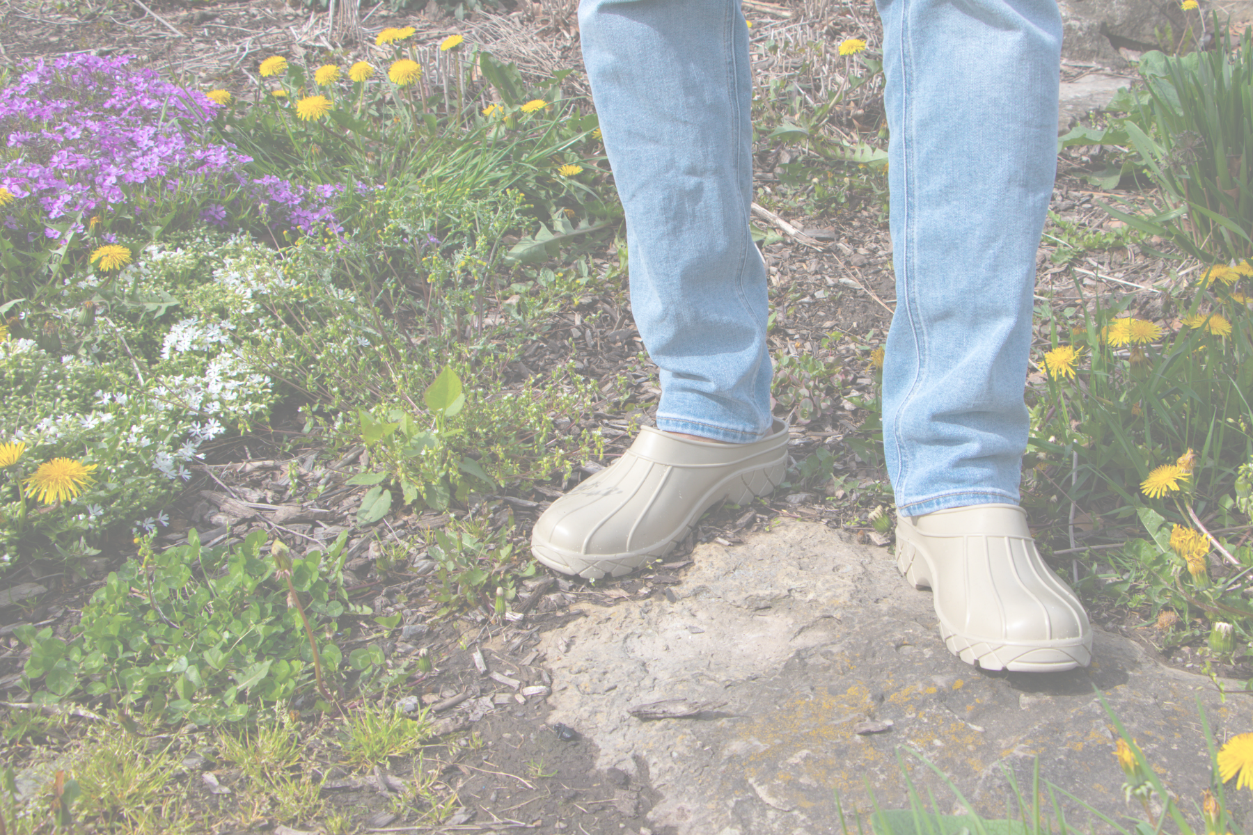 PATIO CLOG: Now in New Colours